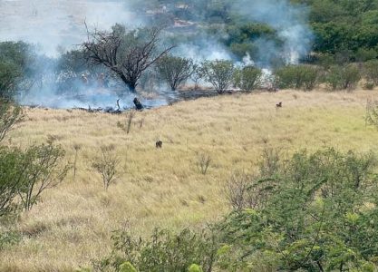 Brush fire burns a quarter-acre